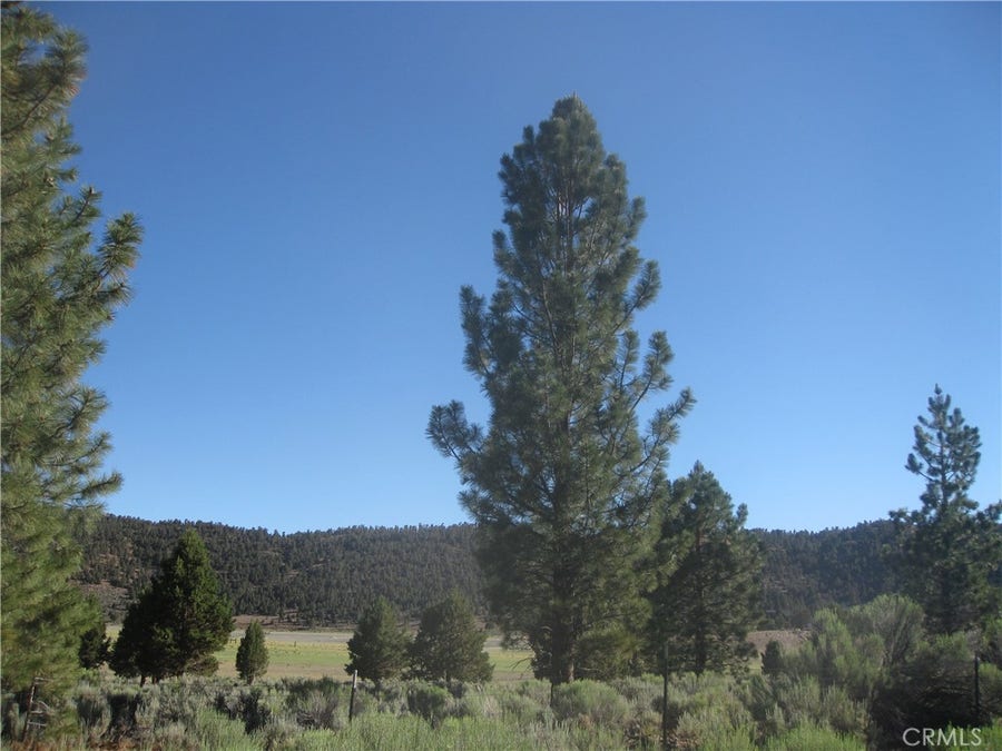 Property photo for 2805 Cedar Lane, Big Bear City, CA
