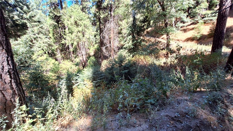 Property photo for 0 El Valle, Cedarpines Park, CA