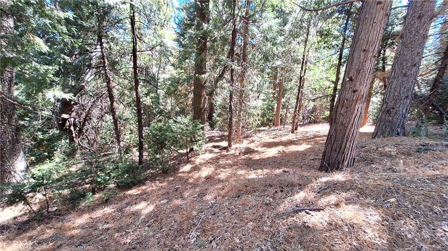 Property photo for 0 Cedar Pines, Cedarpines Park, CA