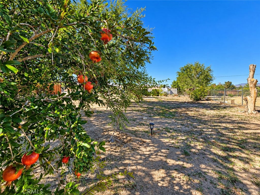 32461 Morse Lane, Lucerne Valley, CA 92356 32461 Morse Lane, Lucerne Valley, CA 92356