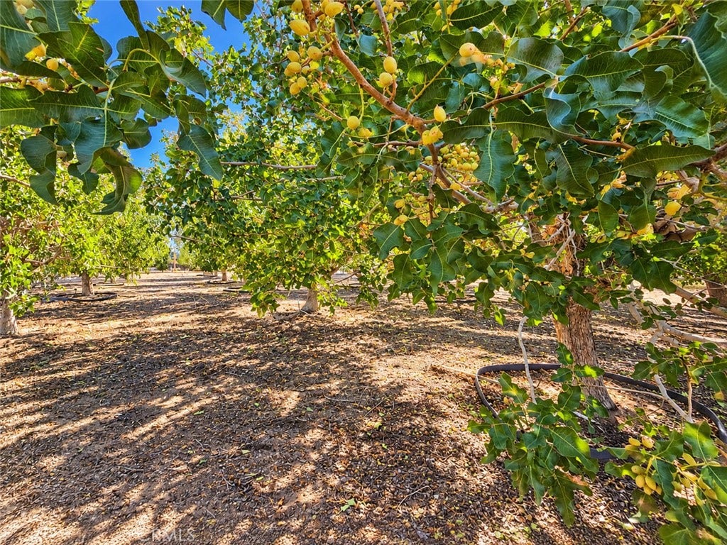 32461 Morse Lane, Lucerne Valley, CA 92356 32461 Morse Lane, Lucerne Valley, CA 92356