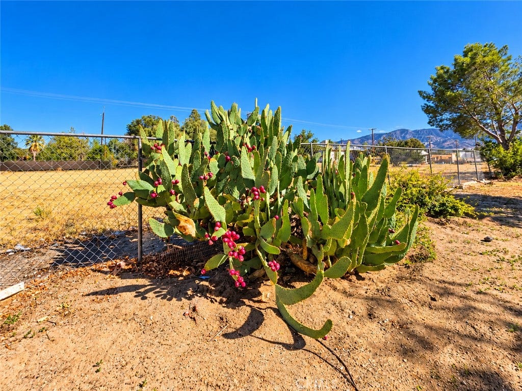 32461 Morse Lane, Lucerne Valley, CA 92356 32461 Morse Lane, Lucerne Valley, CA 92356
