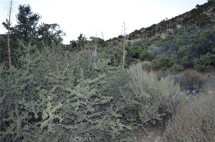 Property photo for 0 Verde, Pinon Hills, CA