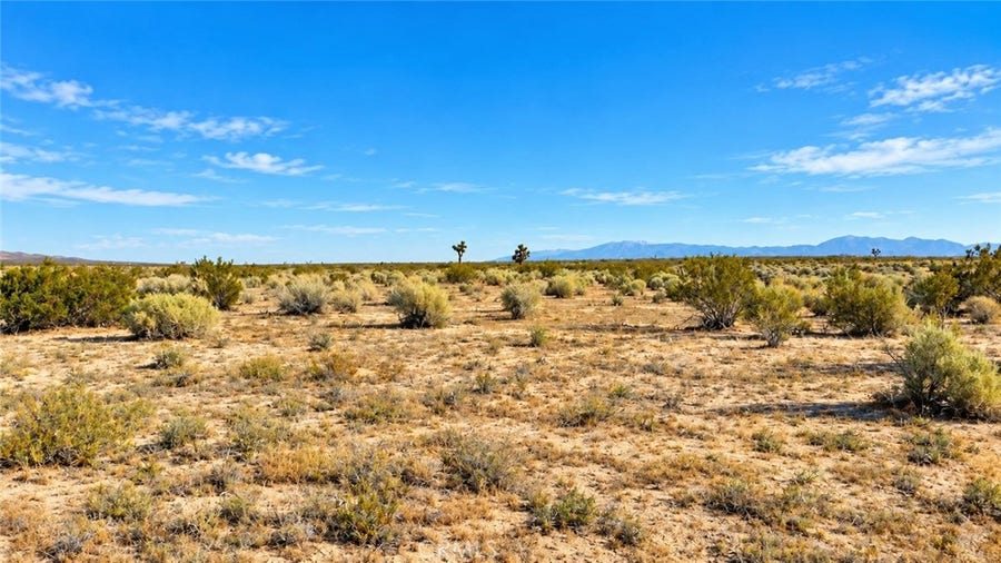 Property photo for 0 None, Adelanto, CA