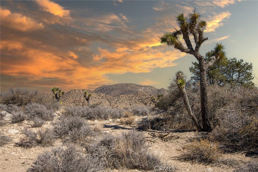 Property photo for 48400 Madison Road, Pioneertown, CA