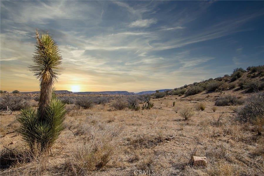 Property photo for 50600 Burns Canyon Road, Pioneertown, CA