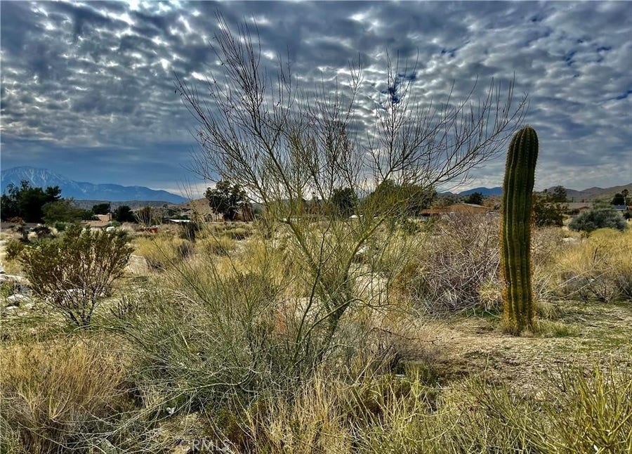 Property photo for 11040 Mescalero Avenue, Morongo Valley, CA