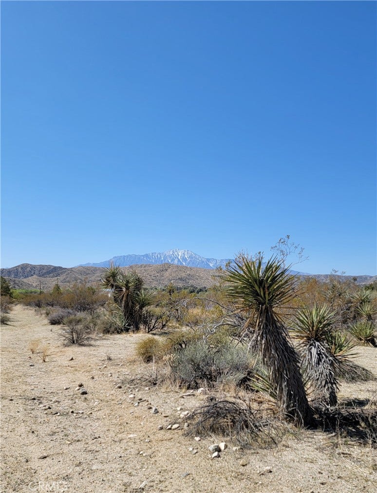 Property photo for 0 Palo Verde, Morongo Valley, CA