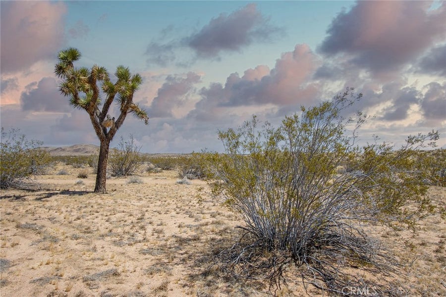 Property photo for 3674 Shawnee, Landers, CA