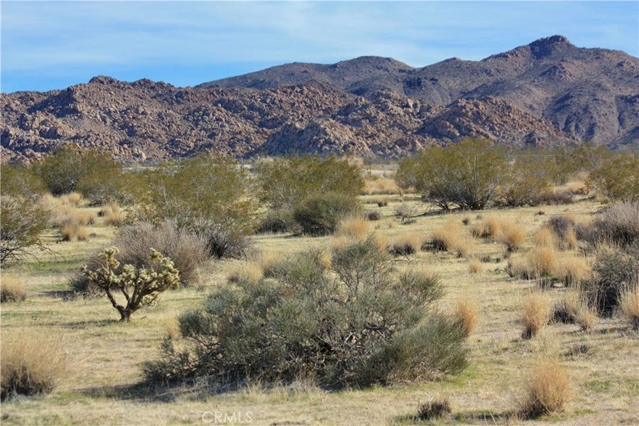 Property photo for 7130 Sunfair Road, Joshua Tree, CA