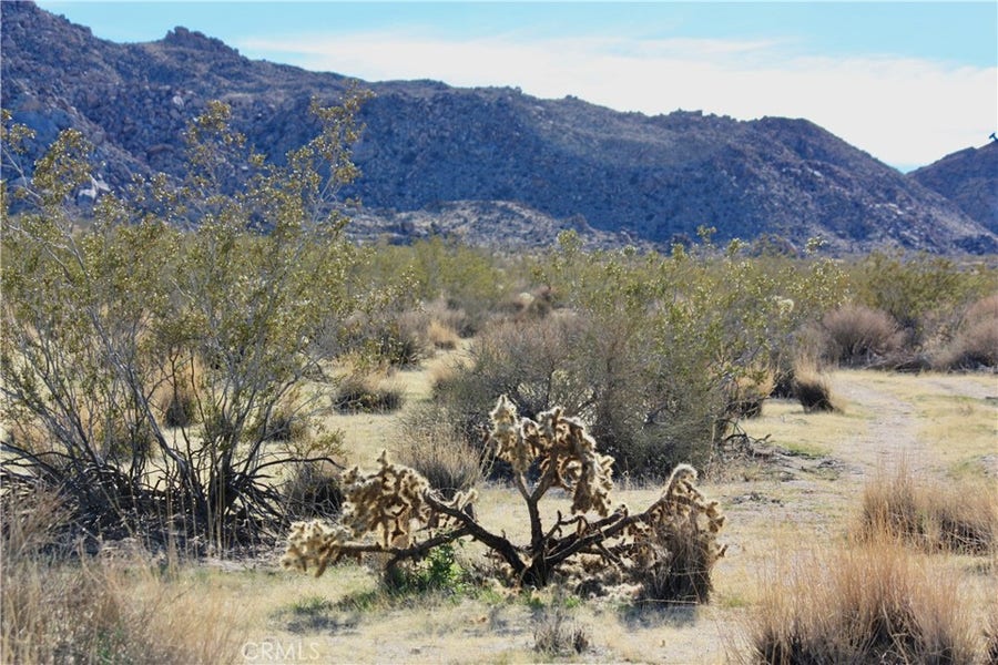 Property photo for 64647 Foothill Drive, Joshua Tree, CA