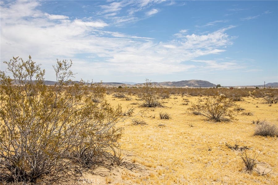 Property photo for 5589 Sutton Avenue, Joshua Tree, CA