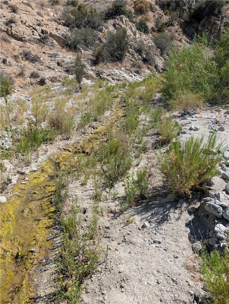 Property photo for 49170 Via Hacienda, Morongo Valley, CA