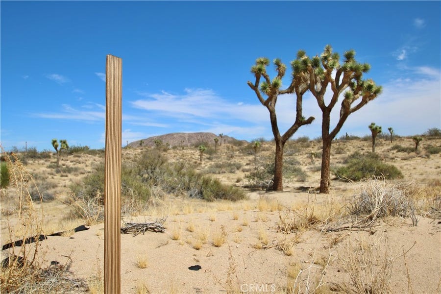 Property photo for 0 Pine Street, Landers, CA