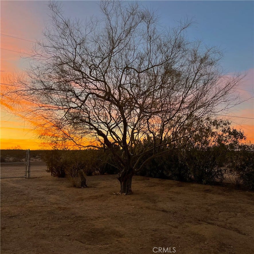 4525 Repton, Landers, CA 92285
