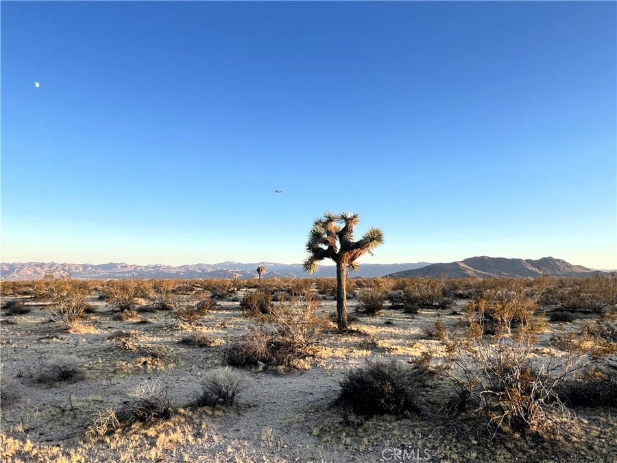 Property photo for 1010 Celeste Road, Joshua Tree, CA