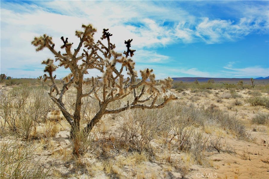 Property photo for 0 Mitch Lane, Landers, CA