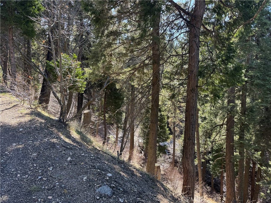 Property photo for 0 Sunderland Court, Lake Arrowhead, CA