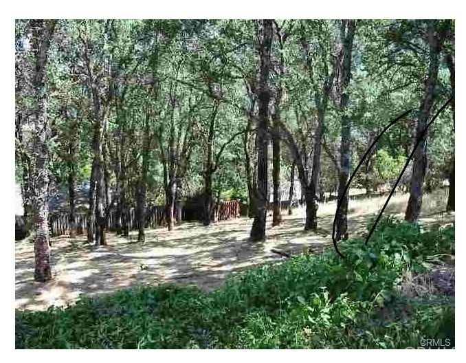 Property photo for 7891 Soda Bay Road, Kelseyville, CA