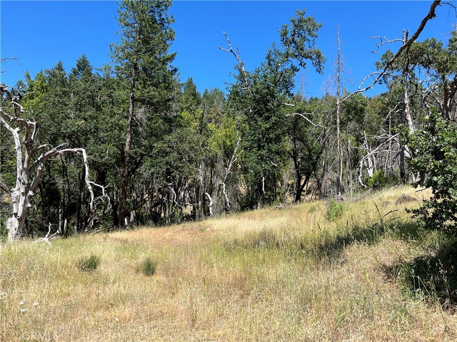 Property photo for 20925 Mid Mountain (17N17 USFS) Road, Upper Lake, CA