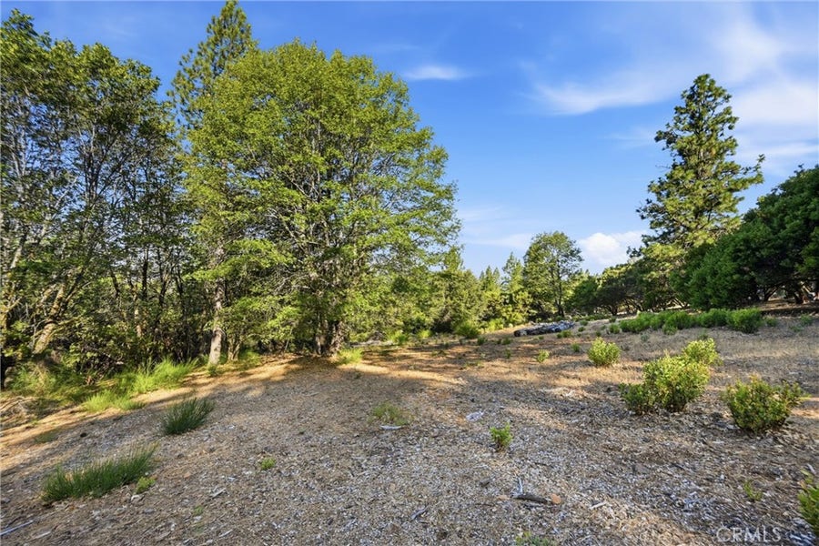 Property photo for 9003 Fox Drive, Cobb, CA