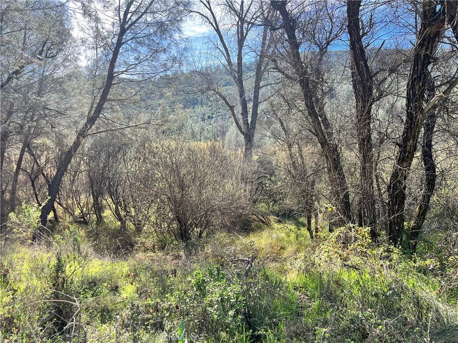 Property photo for 2286 New Long Valley Road, Clearlake Oaks, CA