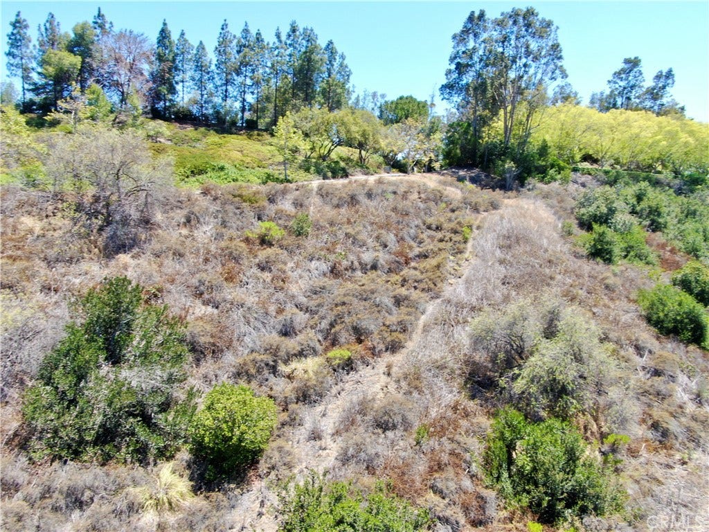 27591 Rolling Wood Lane, San Juan Capistrano, CA 92675 27591 Rolling Wood Lane, San Juan Capistrano, CA 92675