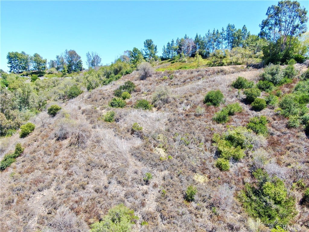 27591 Rolling Wood Lane, San Juan Capistrano, CA 92675 27591 Rolling Wood Lane, San Juan Capistrano, CA 92675
