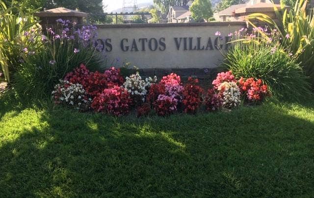 Property photo for 119 Escobar Avenue, Los Gatos, CA