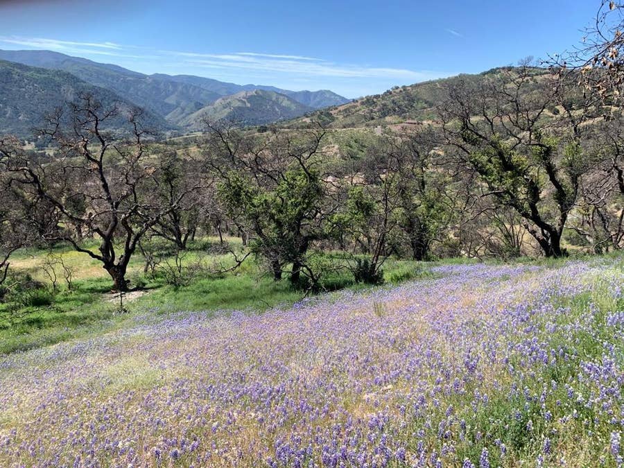 Property photo for 0 Cachagua, Carmel Valley, CA
