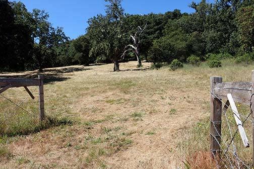 Property photo for 34221 Robinson Canyon Road, Carmel, CA
