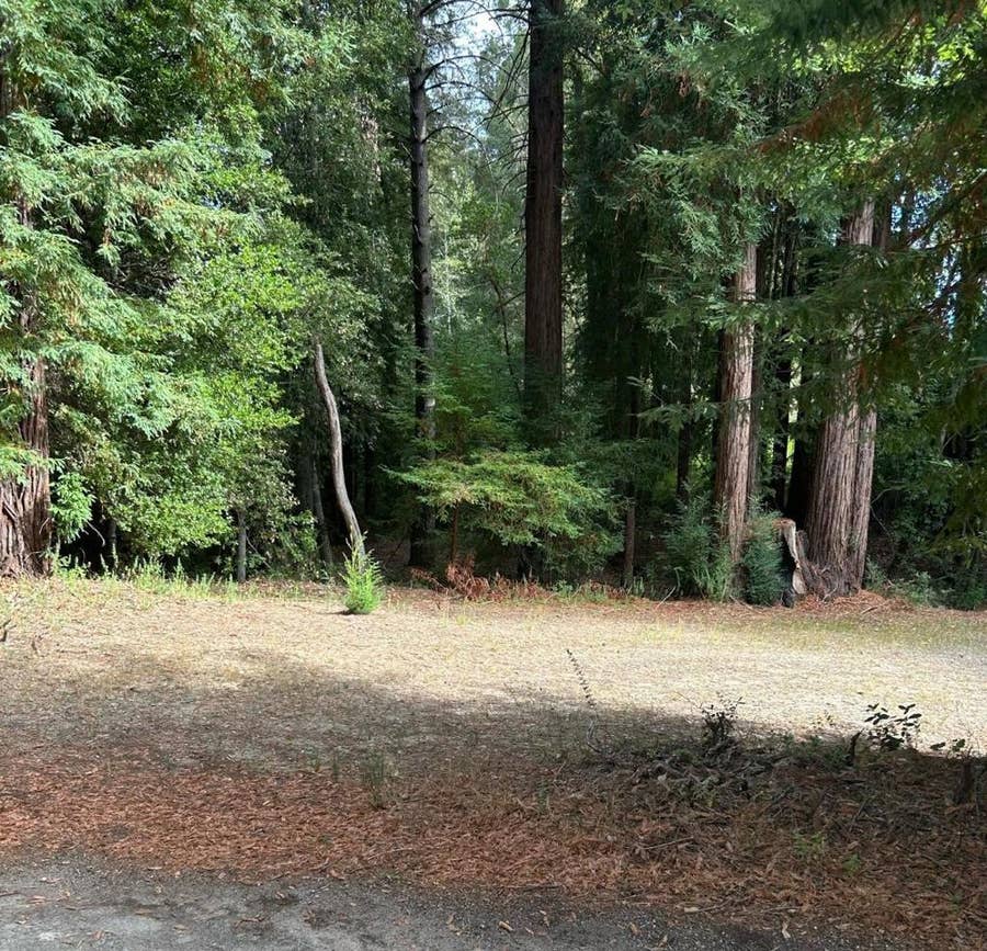 Property photo for 104 Mcpherson Court, Boulder Creek, CA