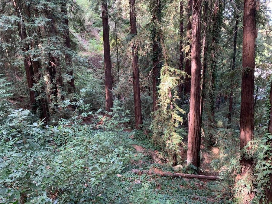 Property photo for 21745 Lindbergh Drive, Los Gatos, CA