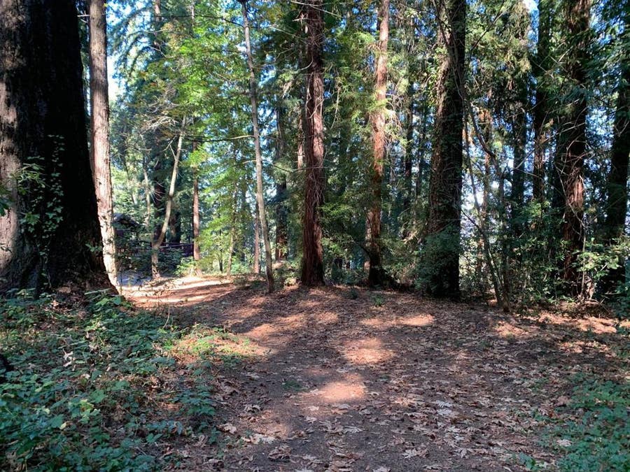 Property photo for 0 Santa Ana Road, Los Gatos, CA