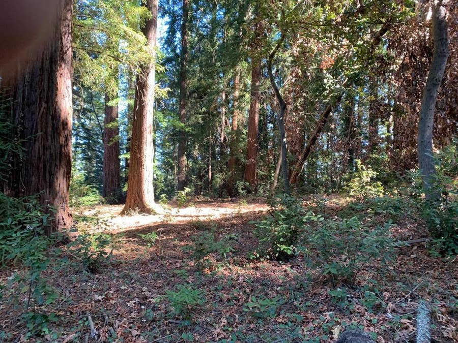Property photo for 1 Santa Ana Road, Los Gatos, CA