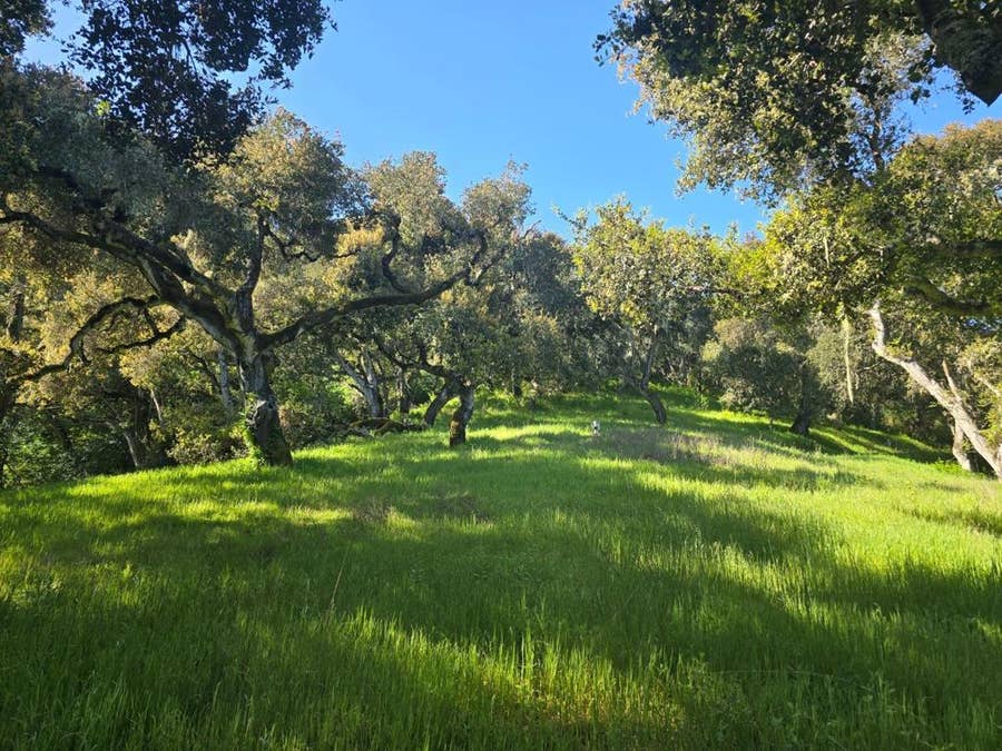 Property photo for 16 SLEEPY HOLLOW DRIVE, Carmel Valley, CA