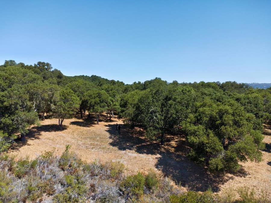 Property photo for 4 Holding Field Run, Carmel, CA