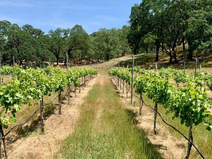 Property photo for 0 Hayes Lane, San Martin, CA