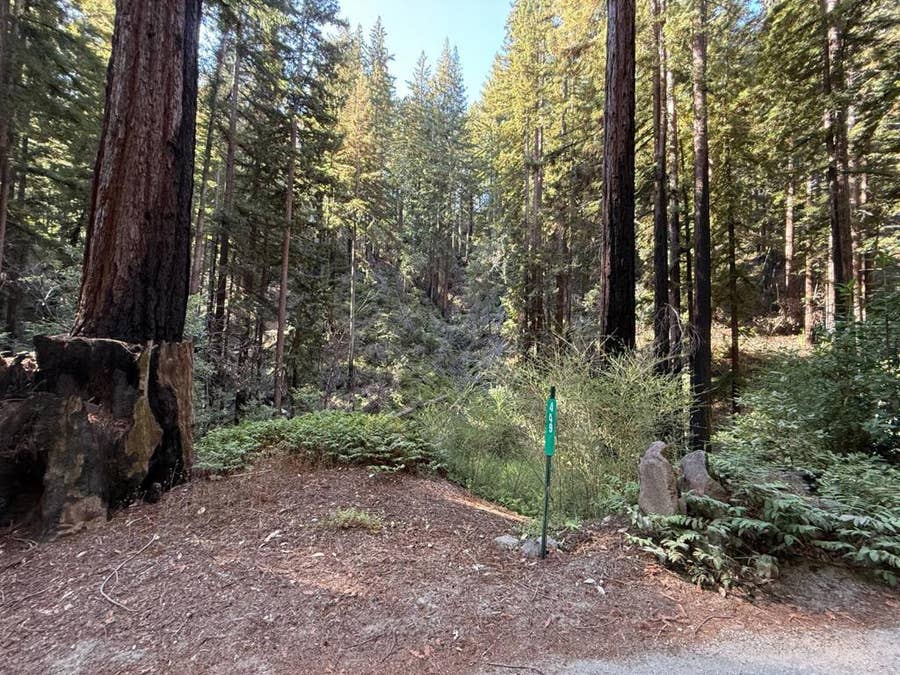 Property photo for 449 Band Road, Boulder Creek, CA