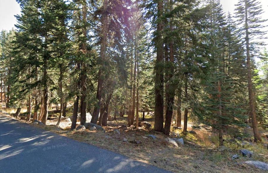 Property photo for 116 John Ebbetts Road, Arnold, CA