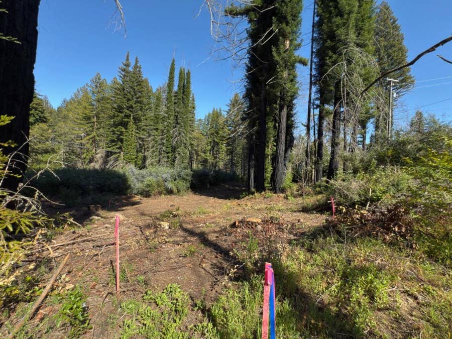 Property photo for 0 Fallen Leaf Drive, Boulder Creek, CA