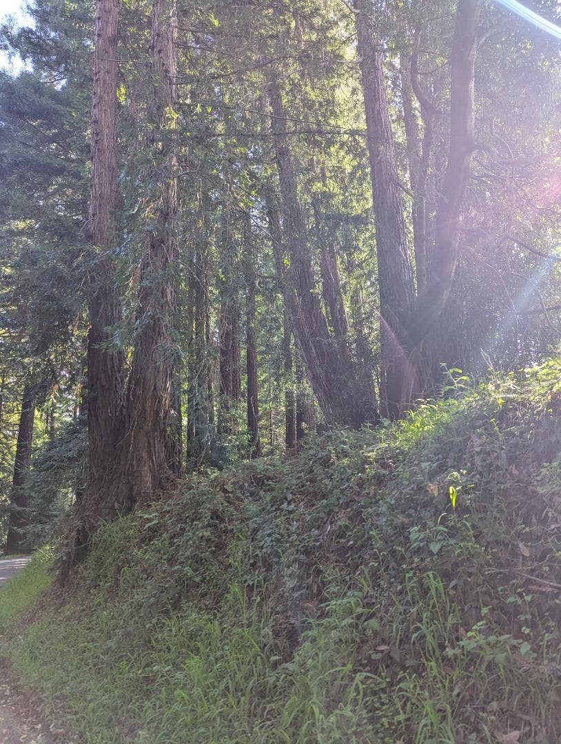 Property photo for 8055 Glen Haven Road, Soquel, CA