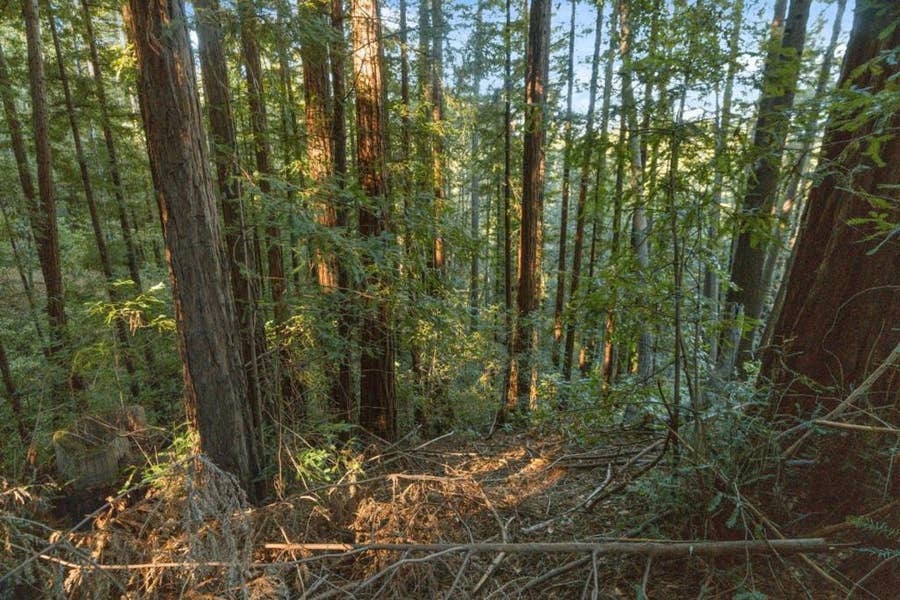 Property photo for 0 Country Club Drive, Ben Lomond, CA