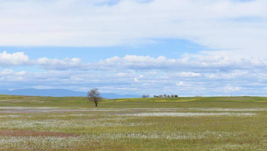 Property photo for Artois, CA