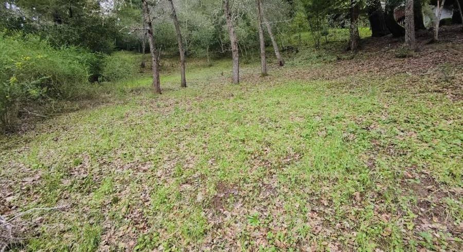 Property photo for 15971 Forest Hill Drive, Boulder Creek, CA