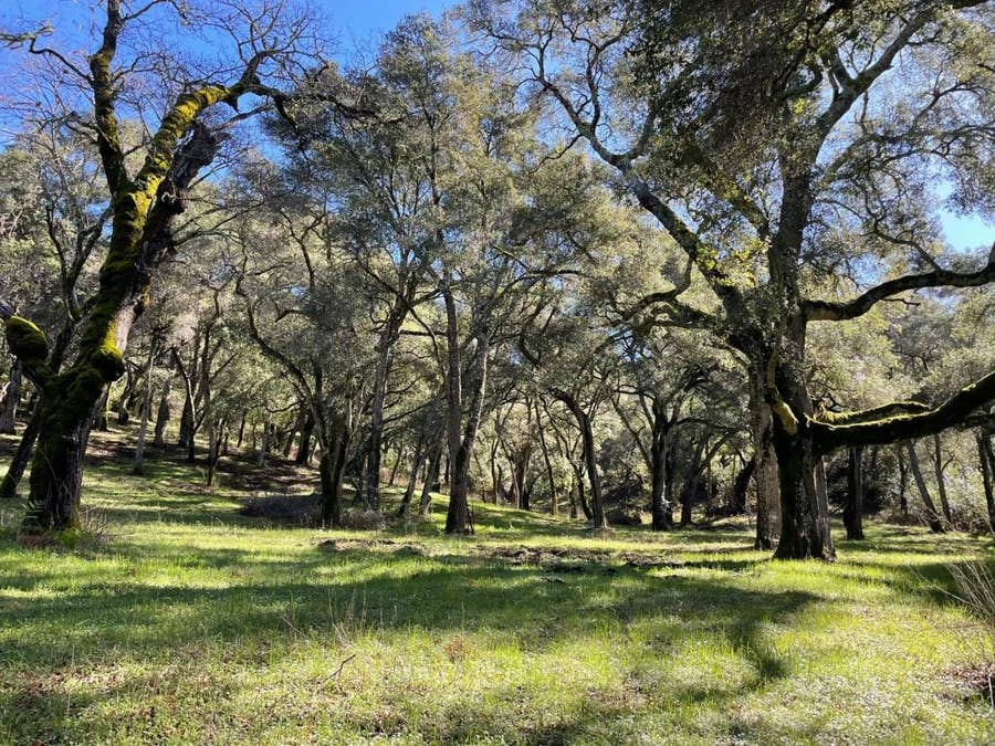Property photo for 10 Garzas Trail, Carmel, CA