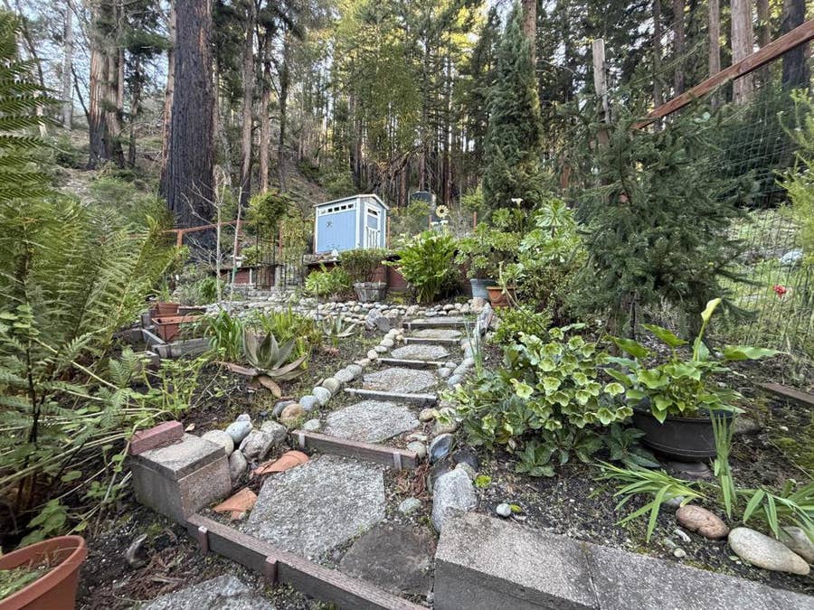 Property photo for 535 Burnside, Boulder Creek, CA