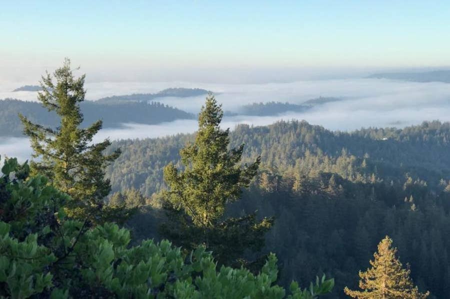 Property photo for Skyview Ridge Road, Boulder Creek, CA
