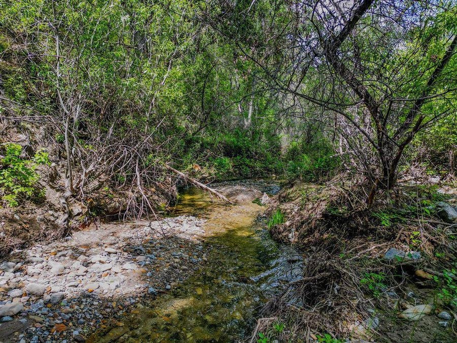 Property photo for 43575 Carmel Valley Road, Greenfield, CA