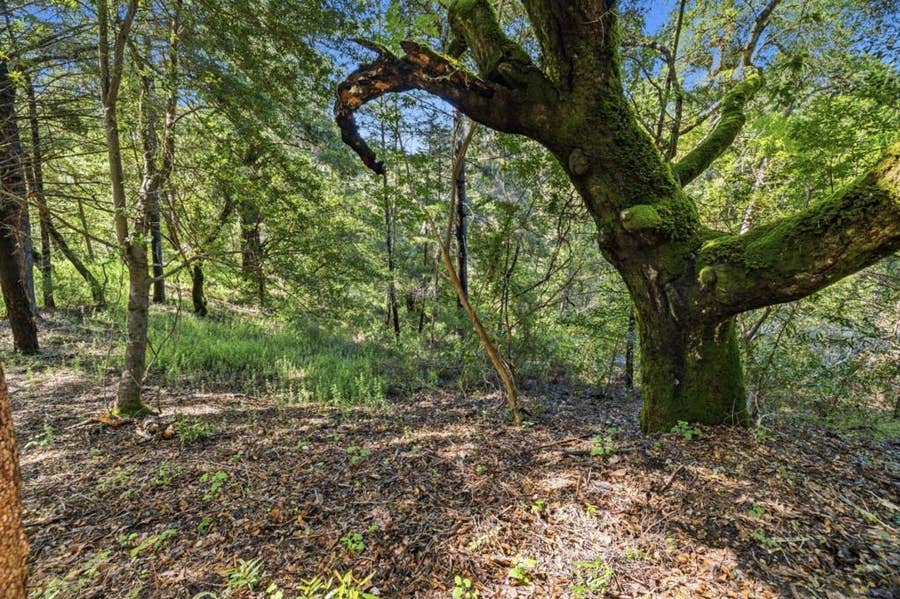 Property photo for 360 Rincon Way, Boulder Creek, CA